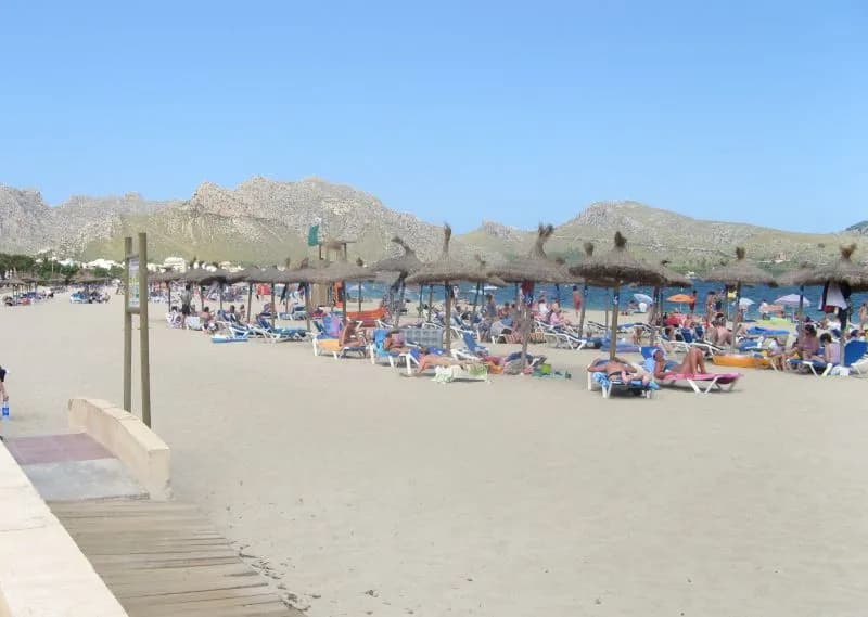 Beach beside the bay of Puerto Pollensa