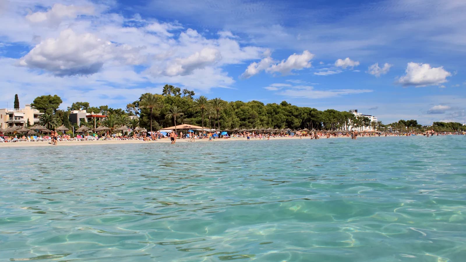 Beach and clear water at Alcúdia, Mallorca